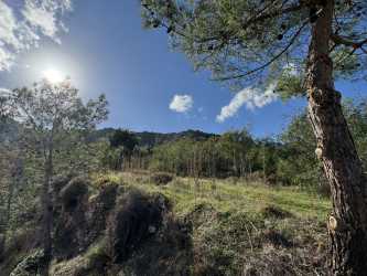 Wycieczka Kyrenia Jeep Safari